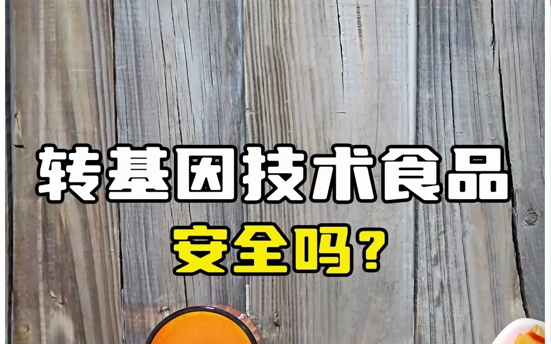 转基因技术食品,安全吗?哔哩哔哩bilibili