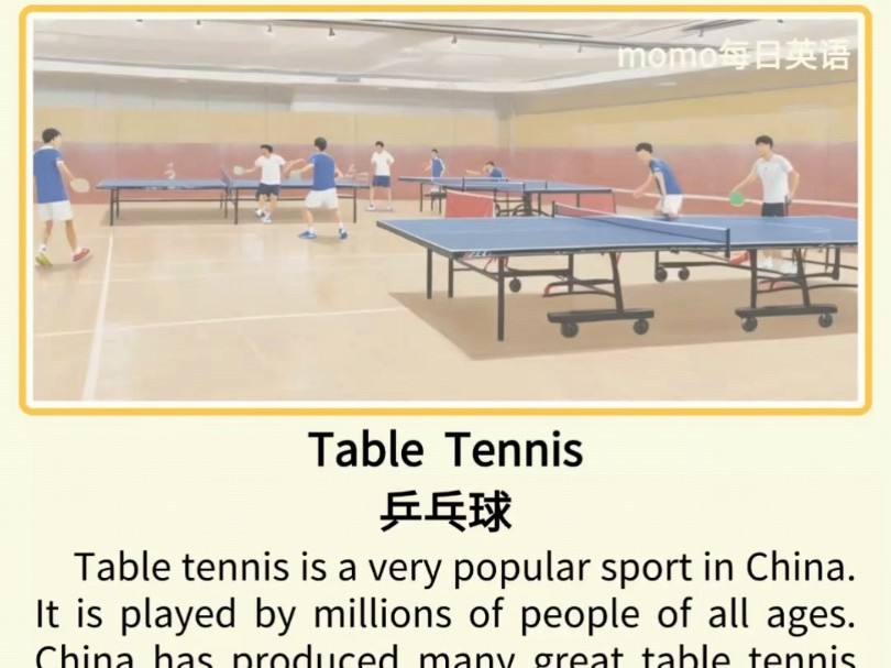 乒乓球table tennis英语小短文 每日英语 奥运会 乒乓球 孙颖莎