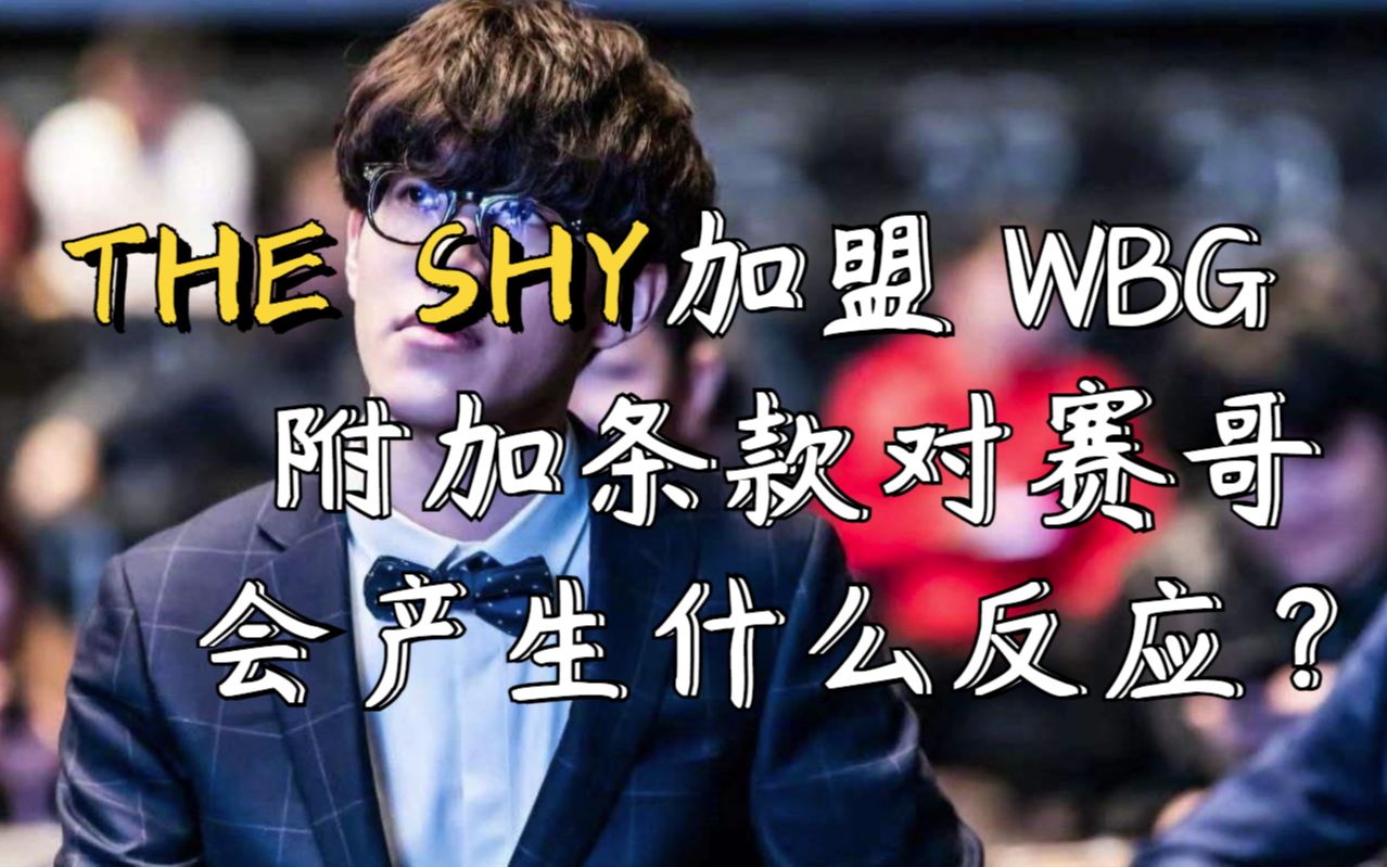 THE SHY加盟WBG附加条款都有什么!哔哩哔哩bilibili