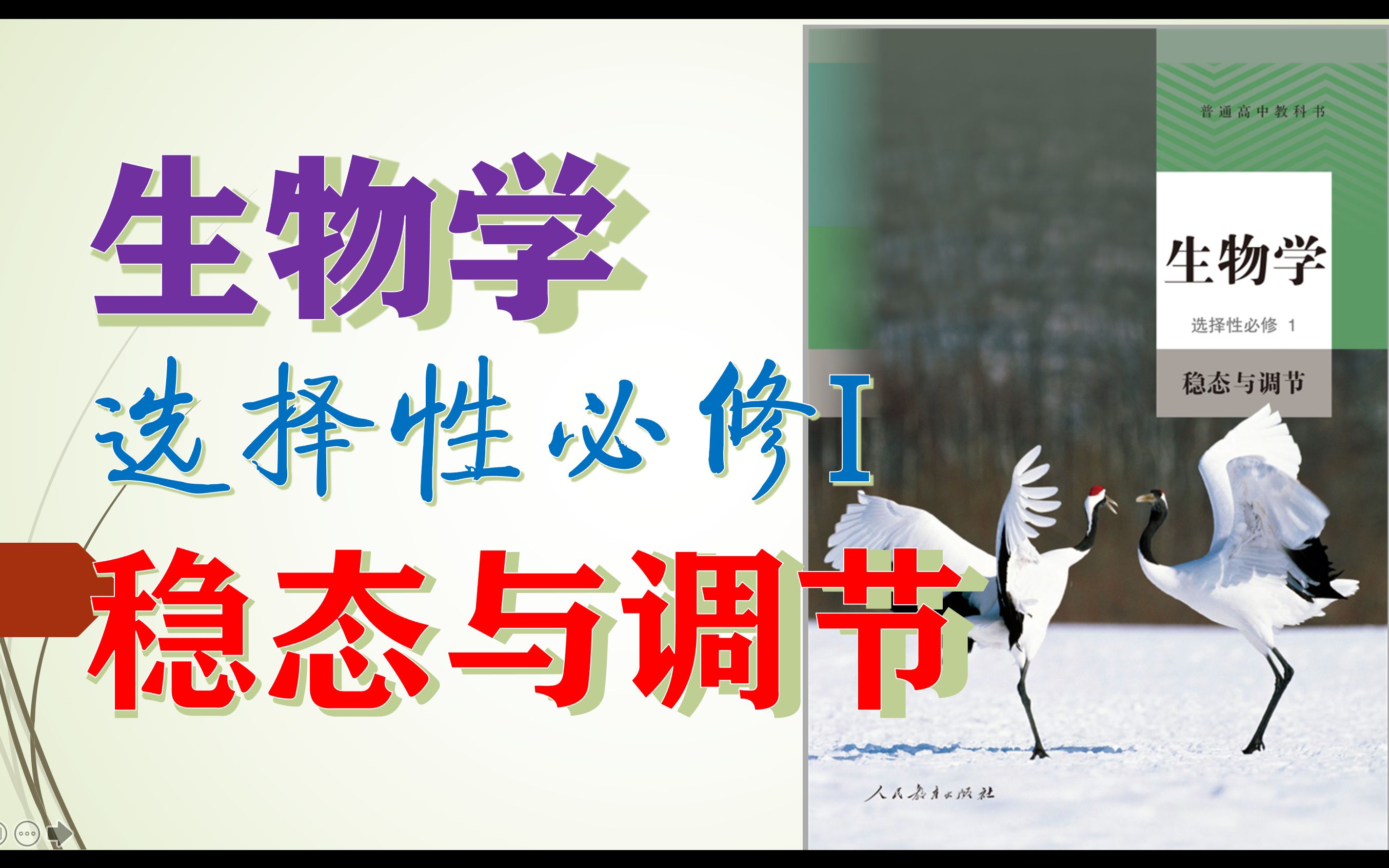 [图]【新教材完结】高中生物选择性必修一选修一稳态与调节新人教版202021新课改新课标新高考理综网课生物学选修1