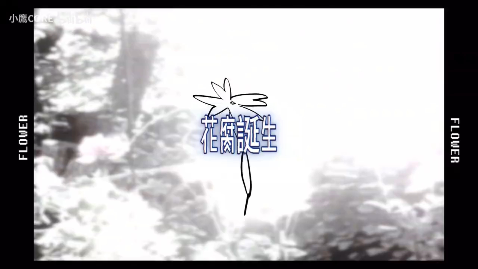 花腐誕生－初音ミクＰＶ重制（中文字幕）