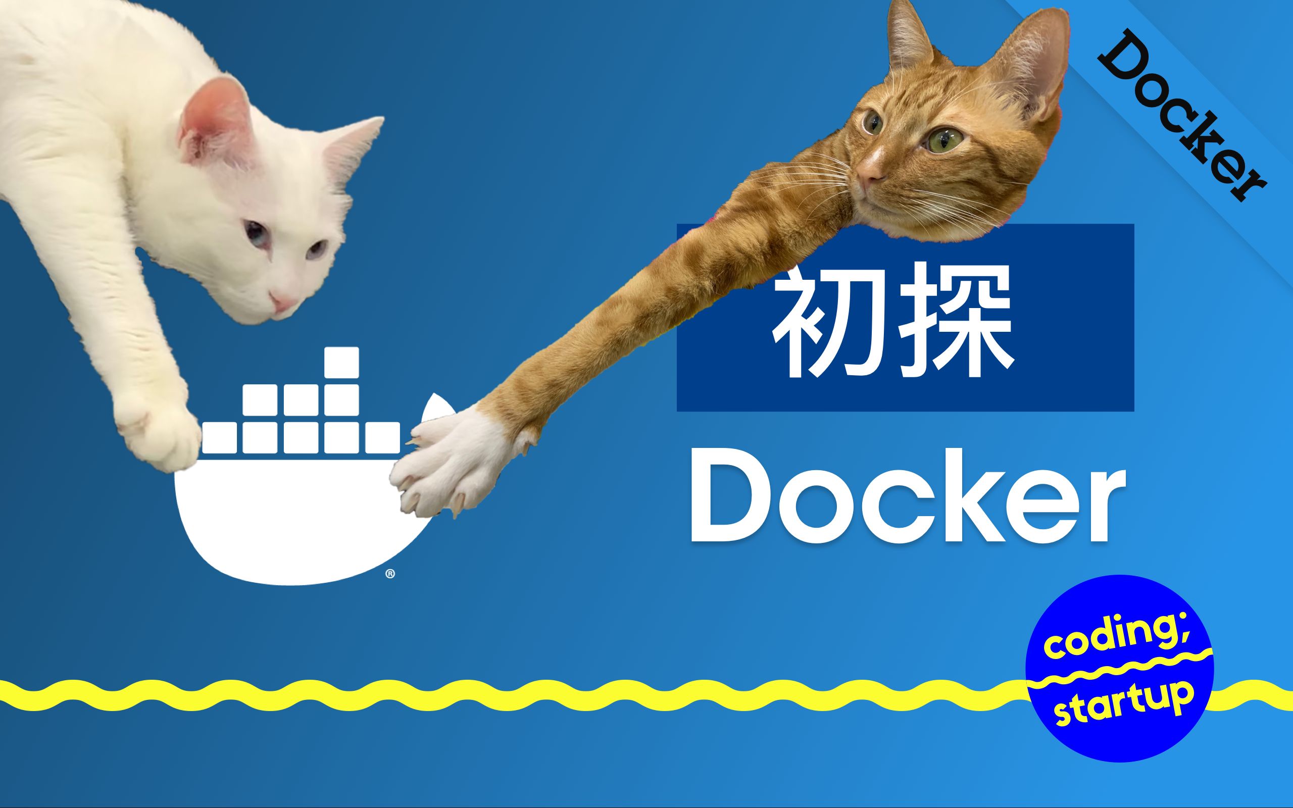 初探 Docker哔哩哔哩bilibili