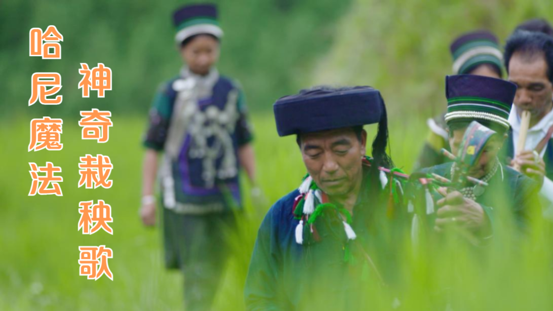 [图]植物也通人性！看哈尼人如何大展神通……