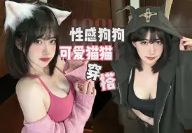 下载视频: 动物系穿搭！性感大狗狗vs软萌小猫咪