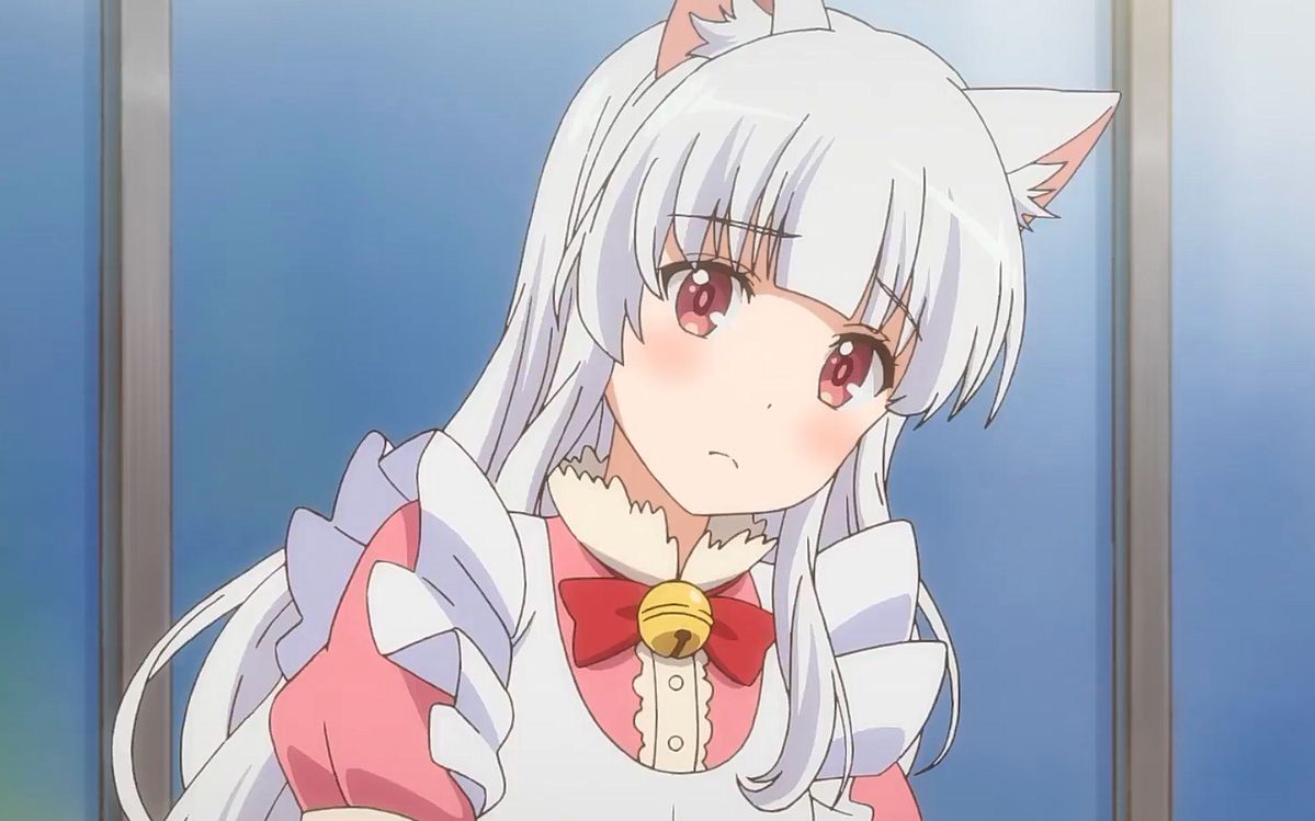 2020年1月家有圆圆我家的圆圆你知道吗猫狗宠物街拟人化cm2f宅1080p