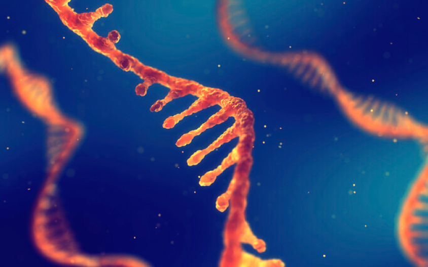 地球上3000万种生命的共同祖先它的名字叫luca