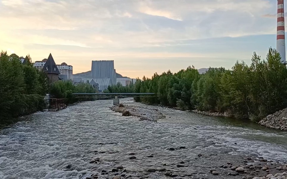 【走在阿勒泰】克兰河,沿河散步,白桦林.