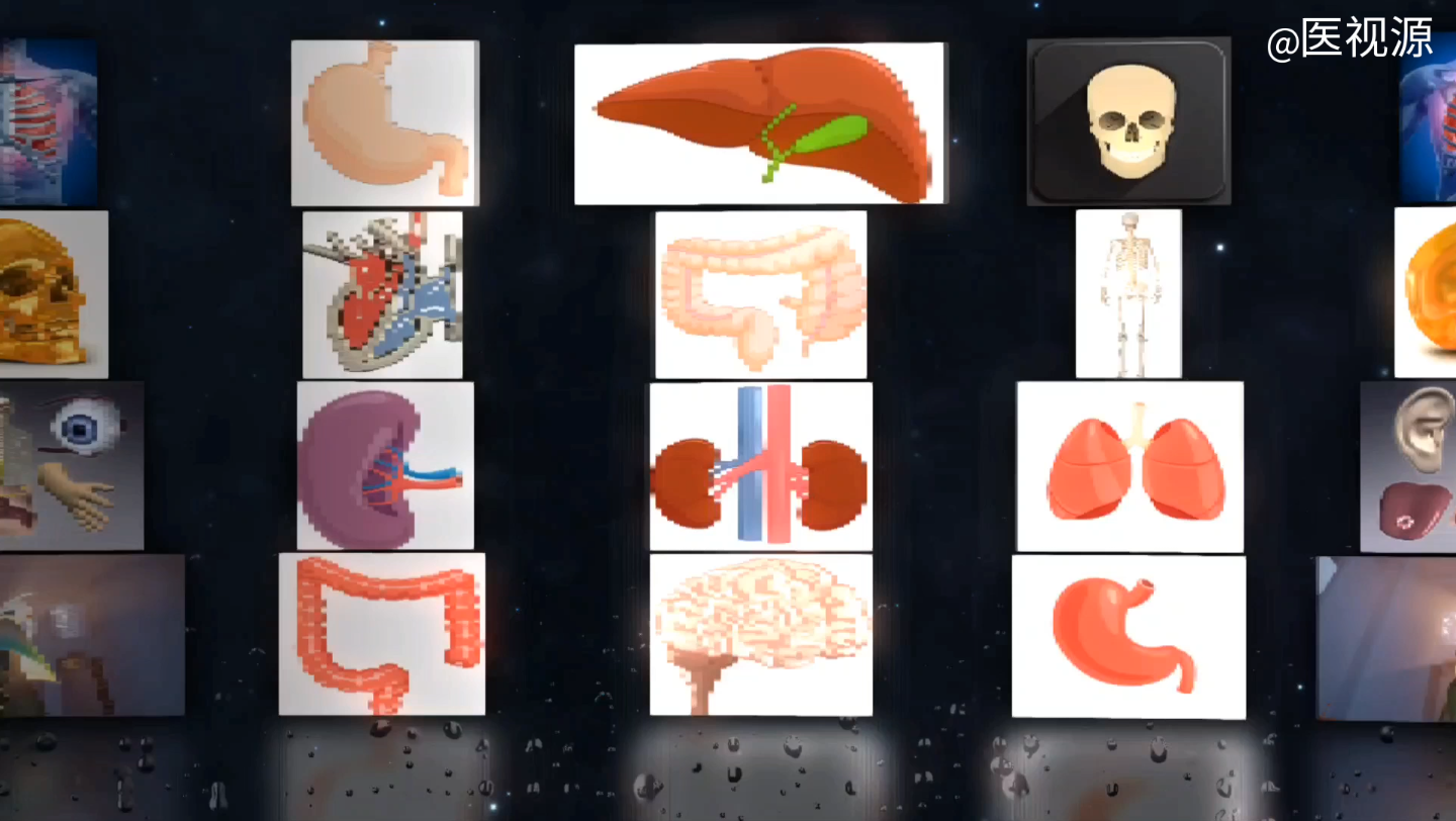 [图]人体局部解剖学-心腔