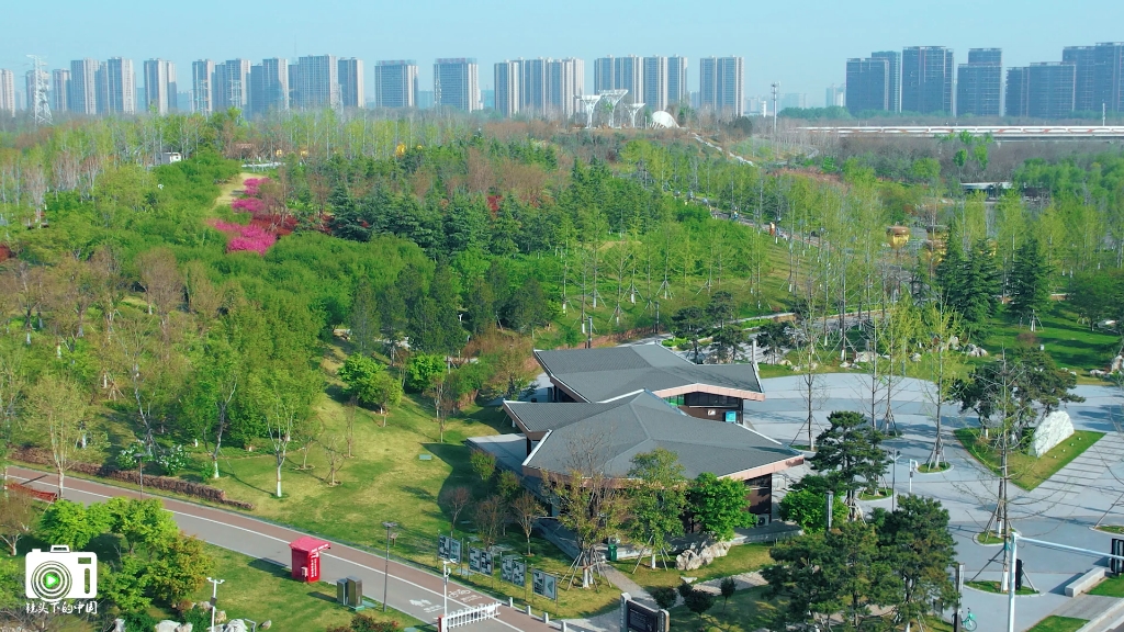 郑州滨河新区森林公园观景台以及很大草坪,放风筝或者露营非常舒服