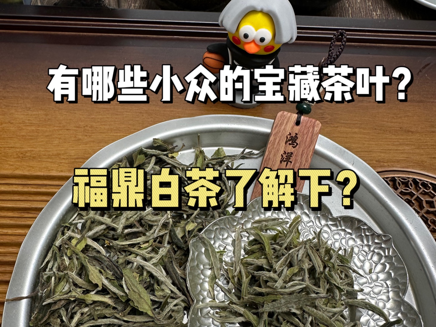 有哪些小众的宝藏茶叶?福鼎白茶了解一下哔哩哔哩bilibili