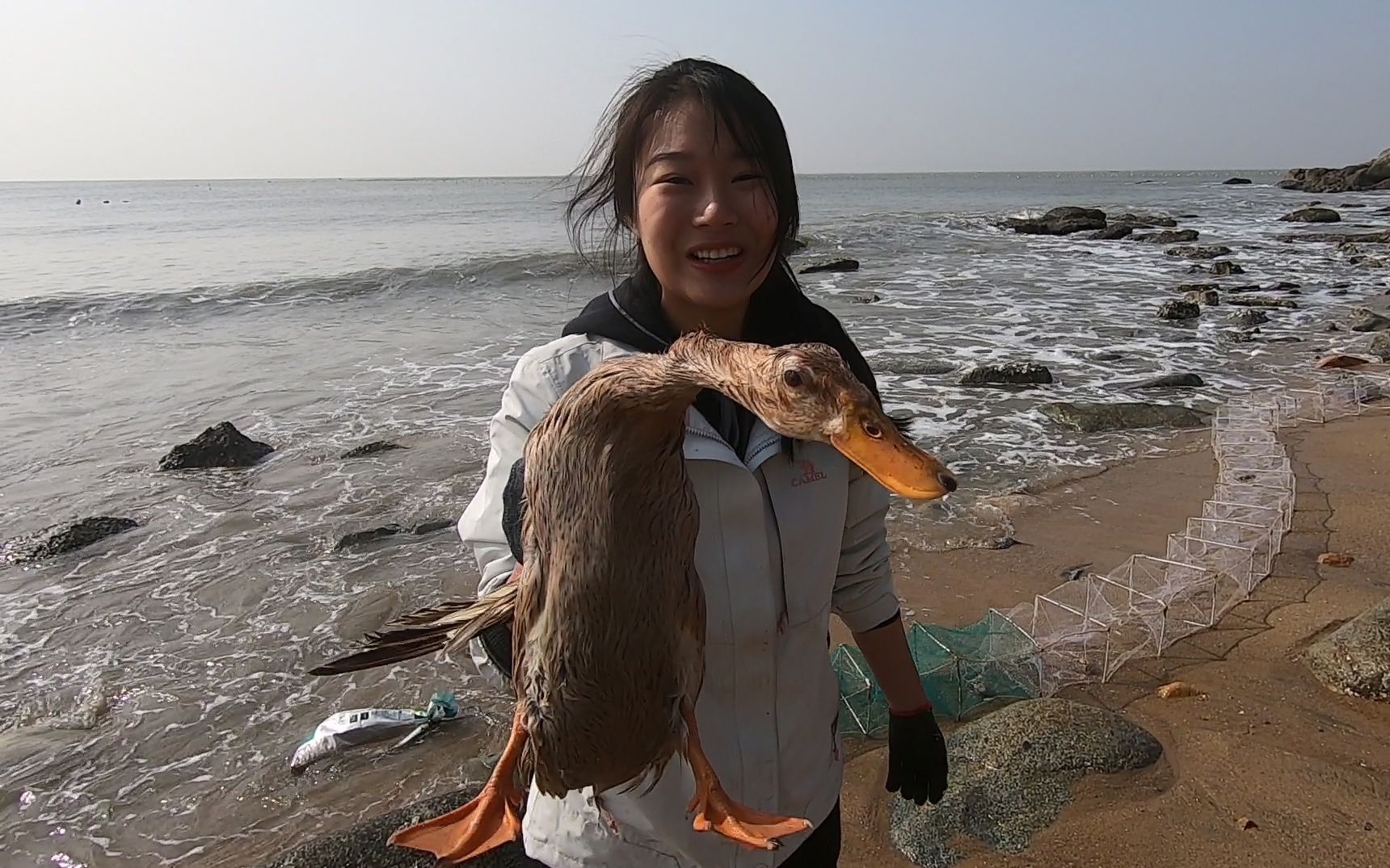 皮皮赶海运气爆棚,意外抓到一只大"海鸭",顶得上一天的收获