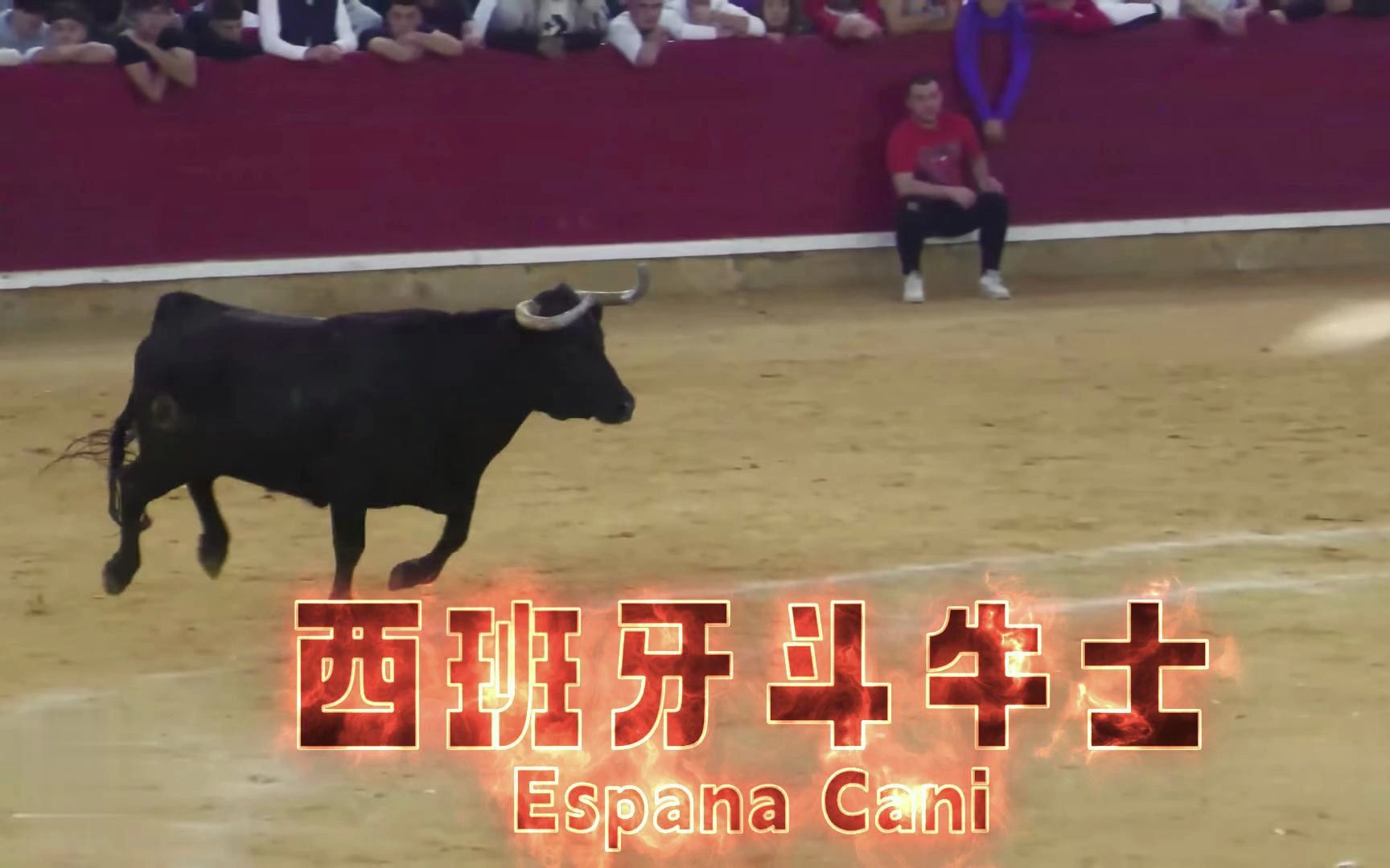 【世界名曲】西班牙斗牛士 Espana Cani ,斗牛活动名场面欣赏哔哩哔哩bilibili