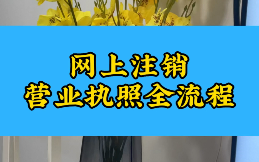 个体户营业执照网上注销全流程!哔哩哔哩bilibili