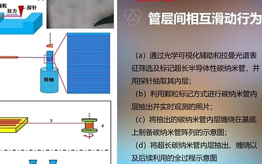 碳纳米管哔哩哔哩bilibili