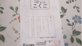 日本小学一年级学力调查测试卷 哔哩哔哩 つロ干杯 Bilibili