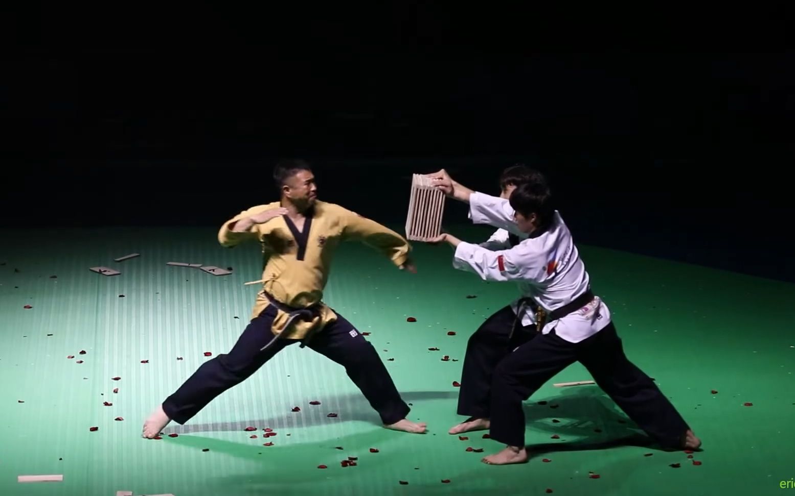 2017chinataekwondoopen中国跆拳道公开赛开幕式wtf表演团跆拳舞品势