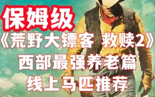 Download Video: 《荒野大镖客2》线上都有哪些顶级马？马匹大全及购买推荐！超详细【保姆级】【荒野大镖客 救赎2】剧情+全流程+攻略+完美进度