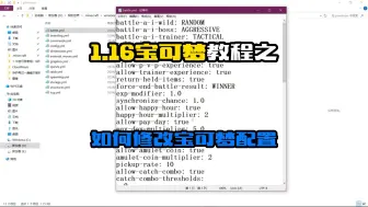 Download Video: 1.16宝可梦教程2：如何修改宝可梦配置
