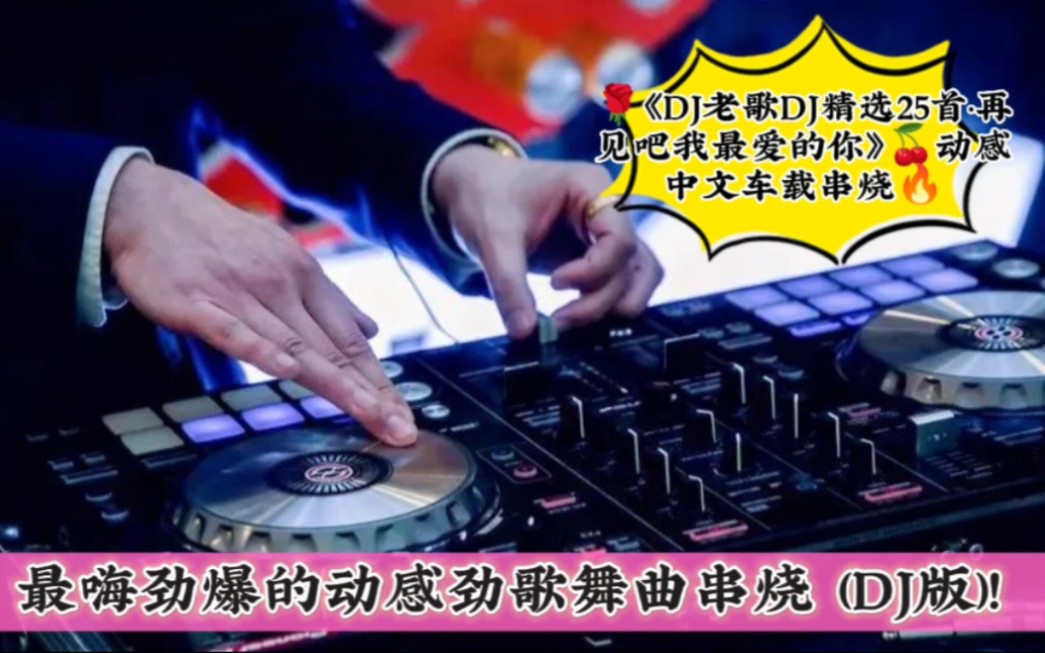 [图]《DJ老歌DJ精选25首·再见吧我最爱的你》动感中文车载串烧