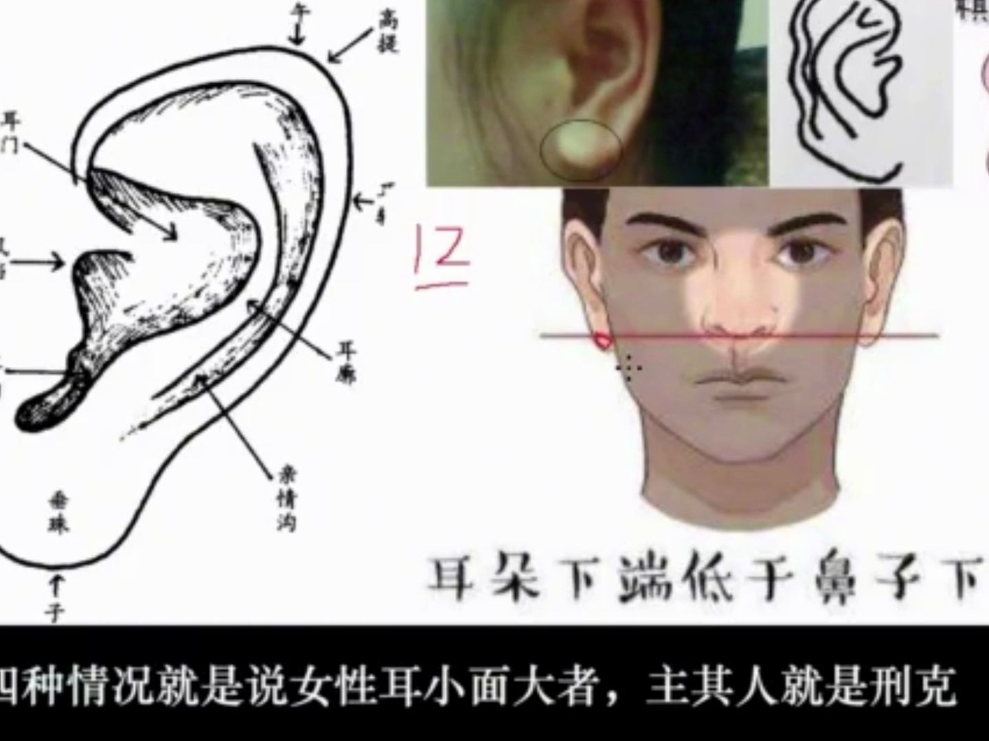 面相“耳相”女性之耳相独特相理分析哔哩哔哩bilibili