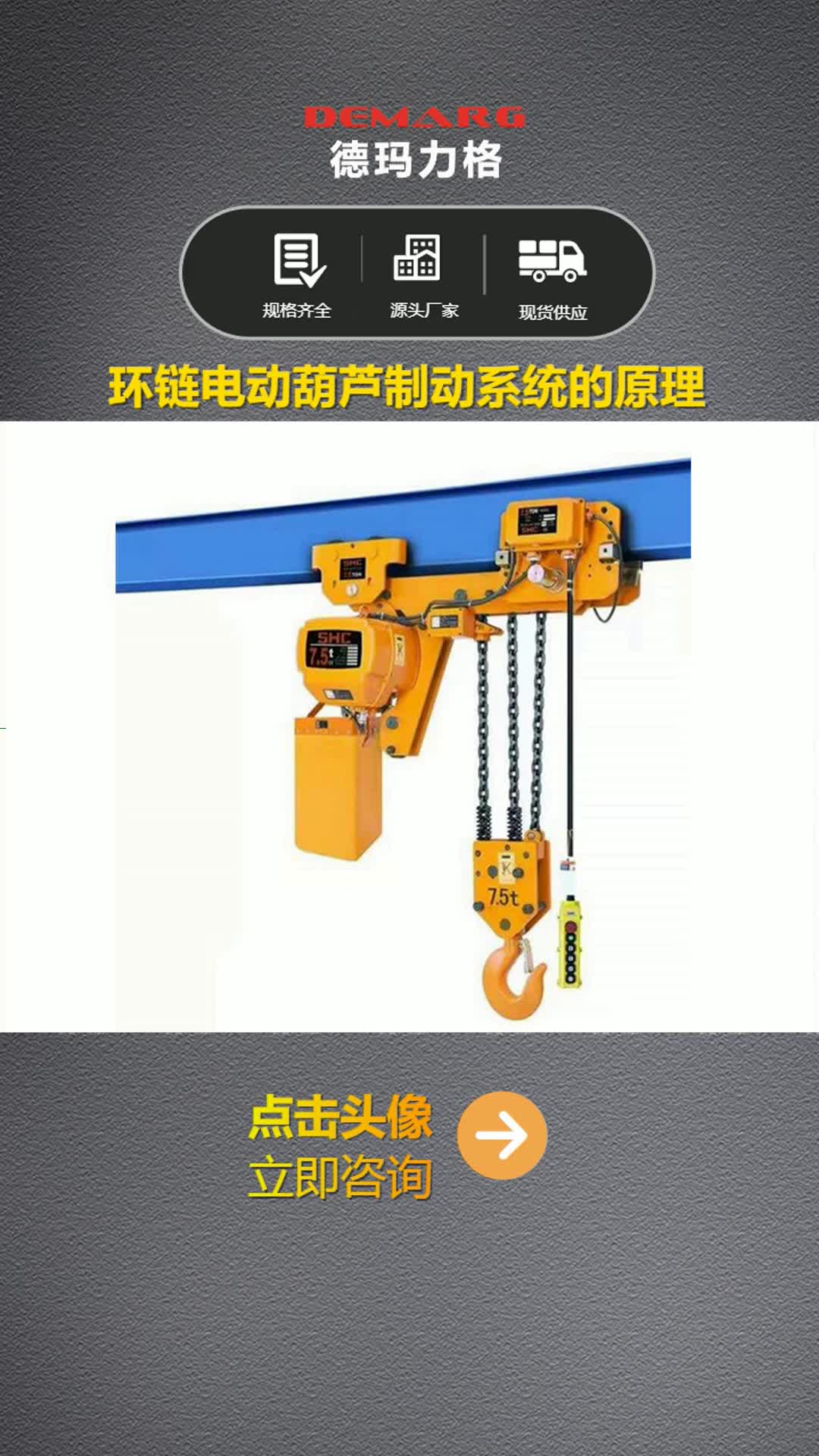 环链葫芦,专业源头厂家 环链电动葫芦制动系统的原理 ,链条电动葫芦