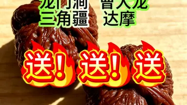 文玩核桃 龍门涧 文玩核桃龙门涧-哔哩哔哩_Bilibili