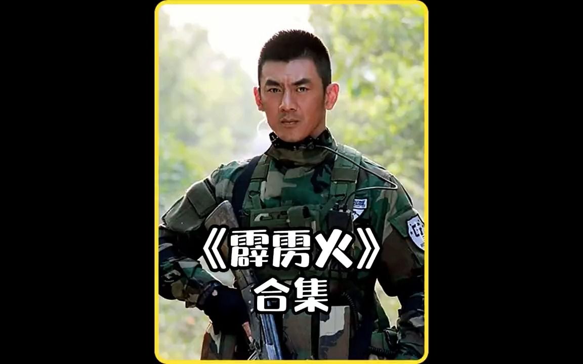 一口气看完《特种兵之霹雳火》,全90分钟看到爽!哔哩哔哩bilibili