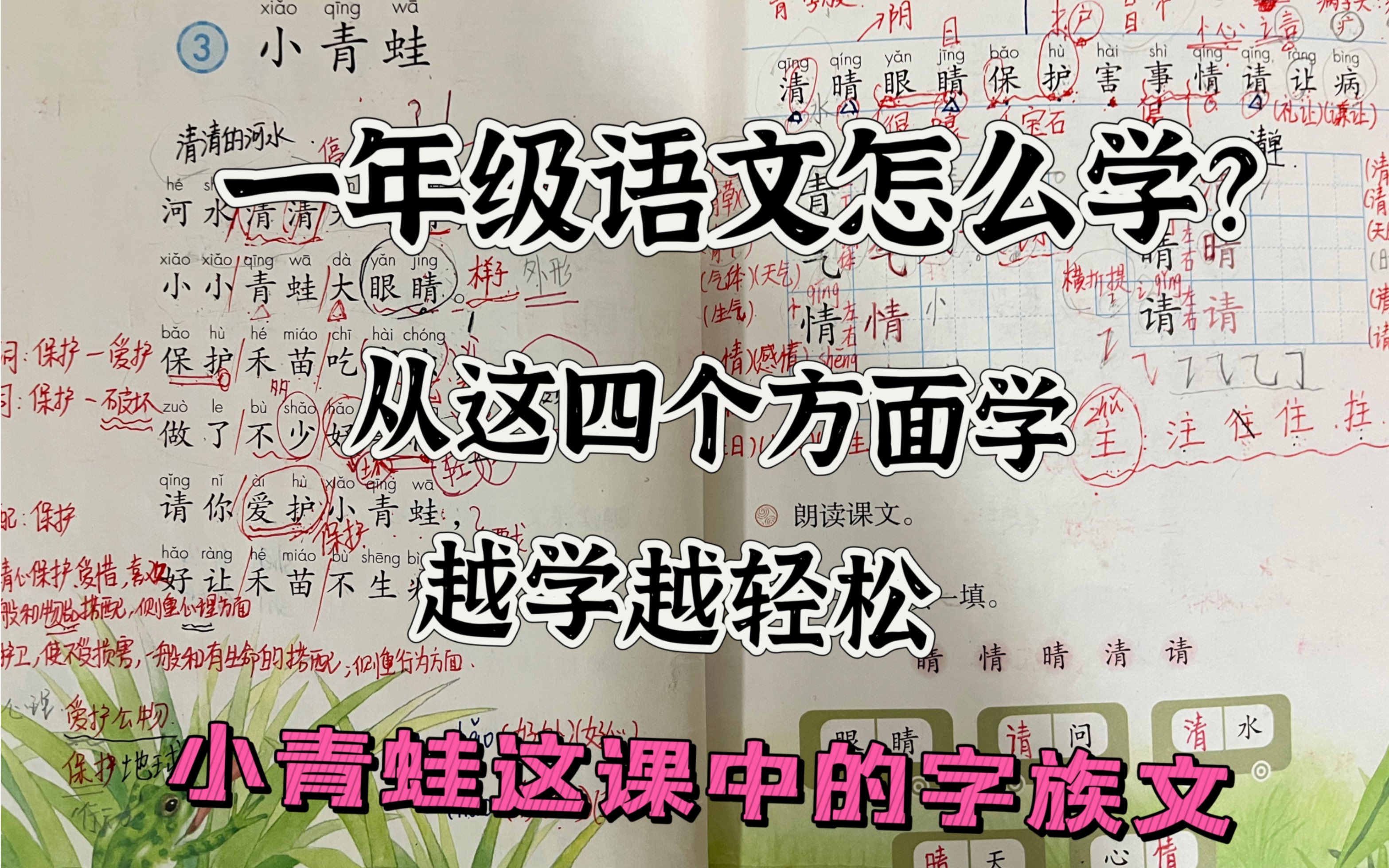 一年级语文到底该怎么学?抓这四个方面就行!这课重点“字族文”,你知道吗?一年级下册《小青蛙》大学生重回一年级课堂,竟然被难倒了?哔哩哔哩...