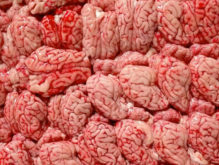 900个脑花粽子！已力竭…谁爱吃啊啊啊啊！
