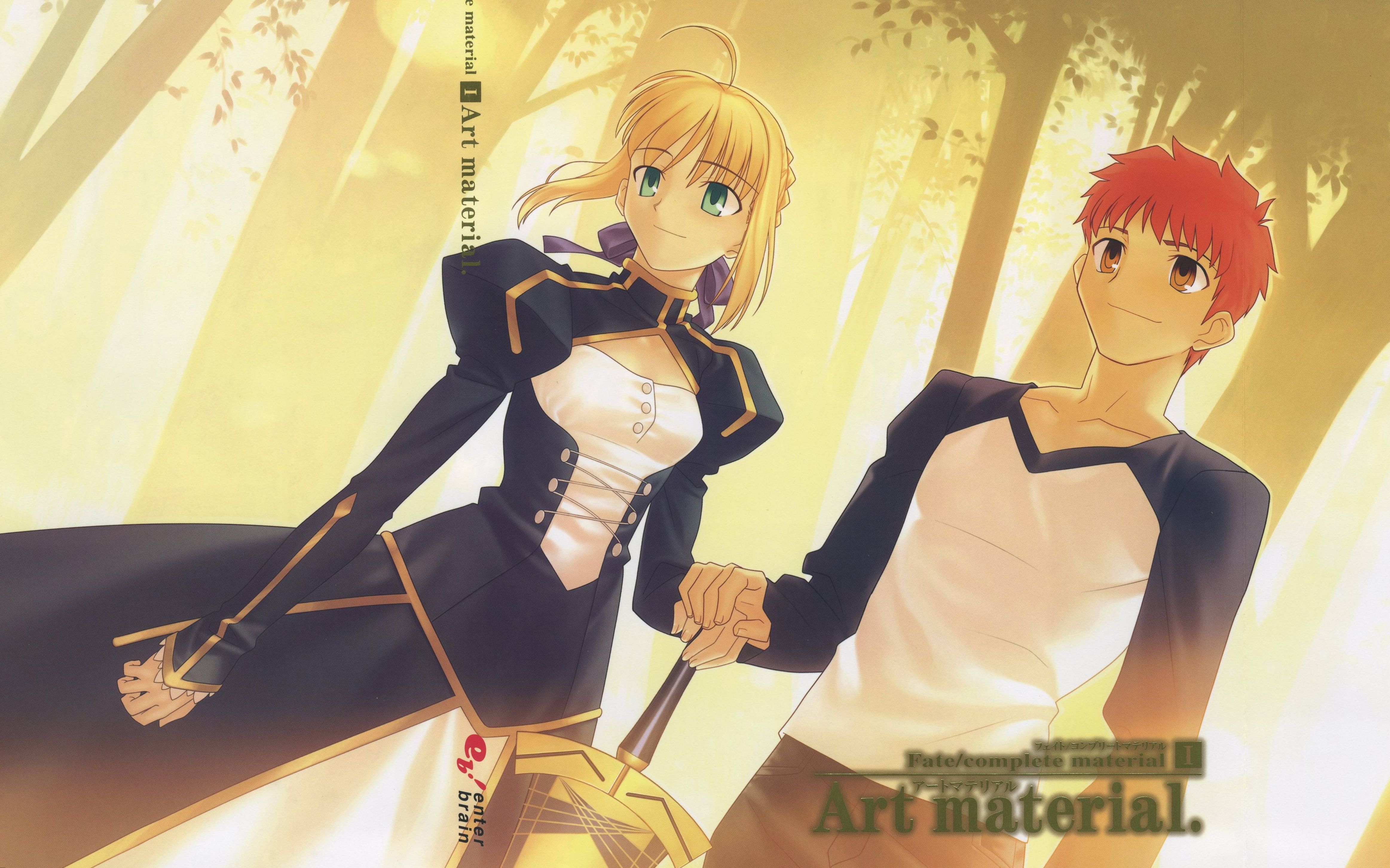 绘画画师作品鉴赏欣赏武内崇fate原画集fatecompletematerialiart