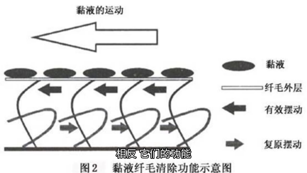 [图]九个宫是动态的八个挂是静态的！宇宙不守恒定律和人体左右不对称及易的经的数往者顺1234左升知来者逆9876右降是由我的立的体的洛的书造成的！