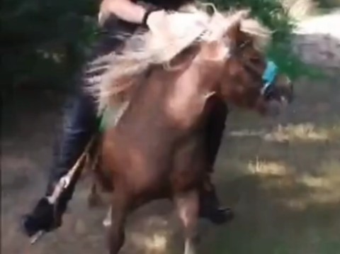 丰满美女过膝长靴马刺警察服驯骑小马