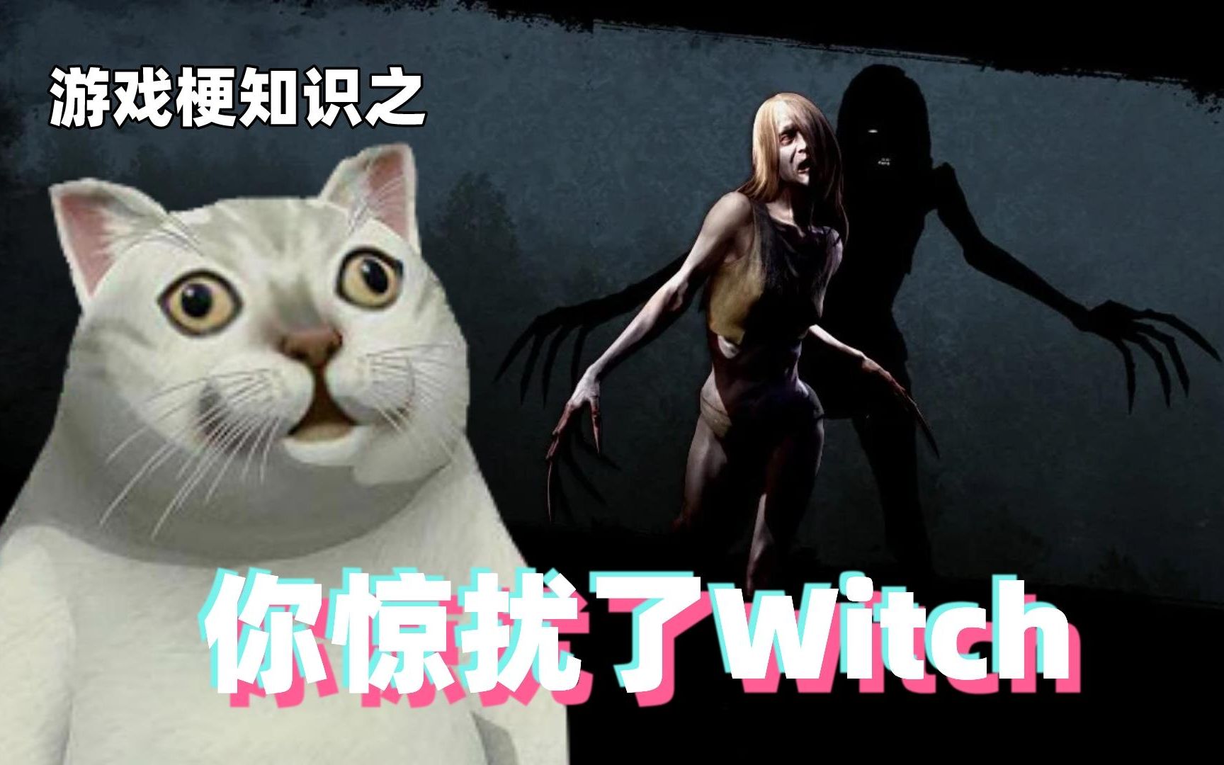 [图]游戏梗知识：你惊扰了Witch