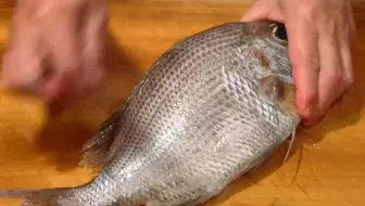 日料刀工系列 炖鸡鱼 伊佐木 白子鱼头汤 哔哩哔哩 Bilibili