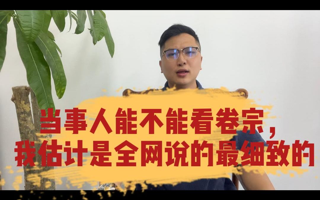 刑事案件究竟能不能看卷宗,我估计是全网说的最细致的一个哔哩哔哩bilibili