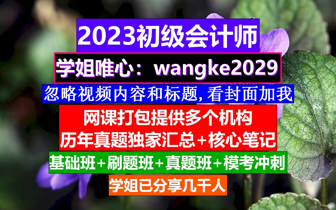 山东省初级会计师经济法基础,考初级会计证是从哪里考试的初级会计证考试成绩出来后审核哔哩哔哩bilibili