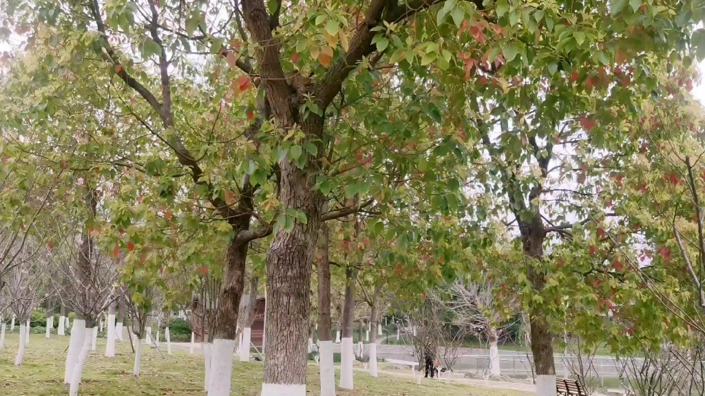 [图]凉风吹来了夏天