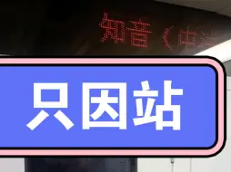 Download Video: 【武汉地铁】实地考察全线网唯一一个带国家名字的站名