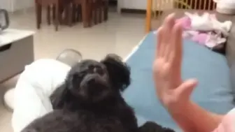 Скачать видео: Give me five！！！