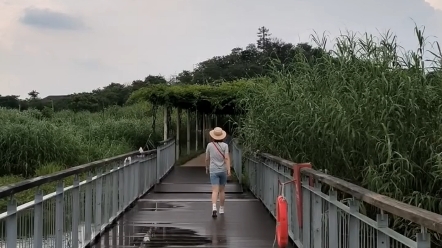 【旅行札记】莫干山周边游第二日 下渚湖湿地公园哔哩哔哩bilibili