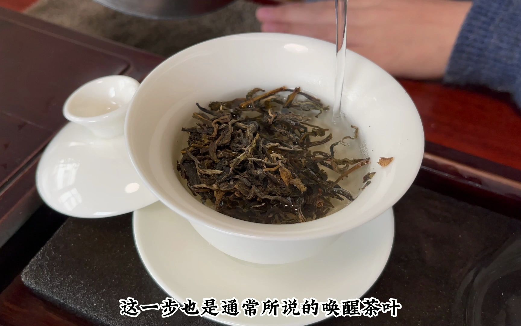 普洱茶怎么泡才好喝,正确冲泡普洱茶的视频教程哔哩哔哩bilibili