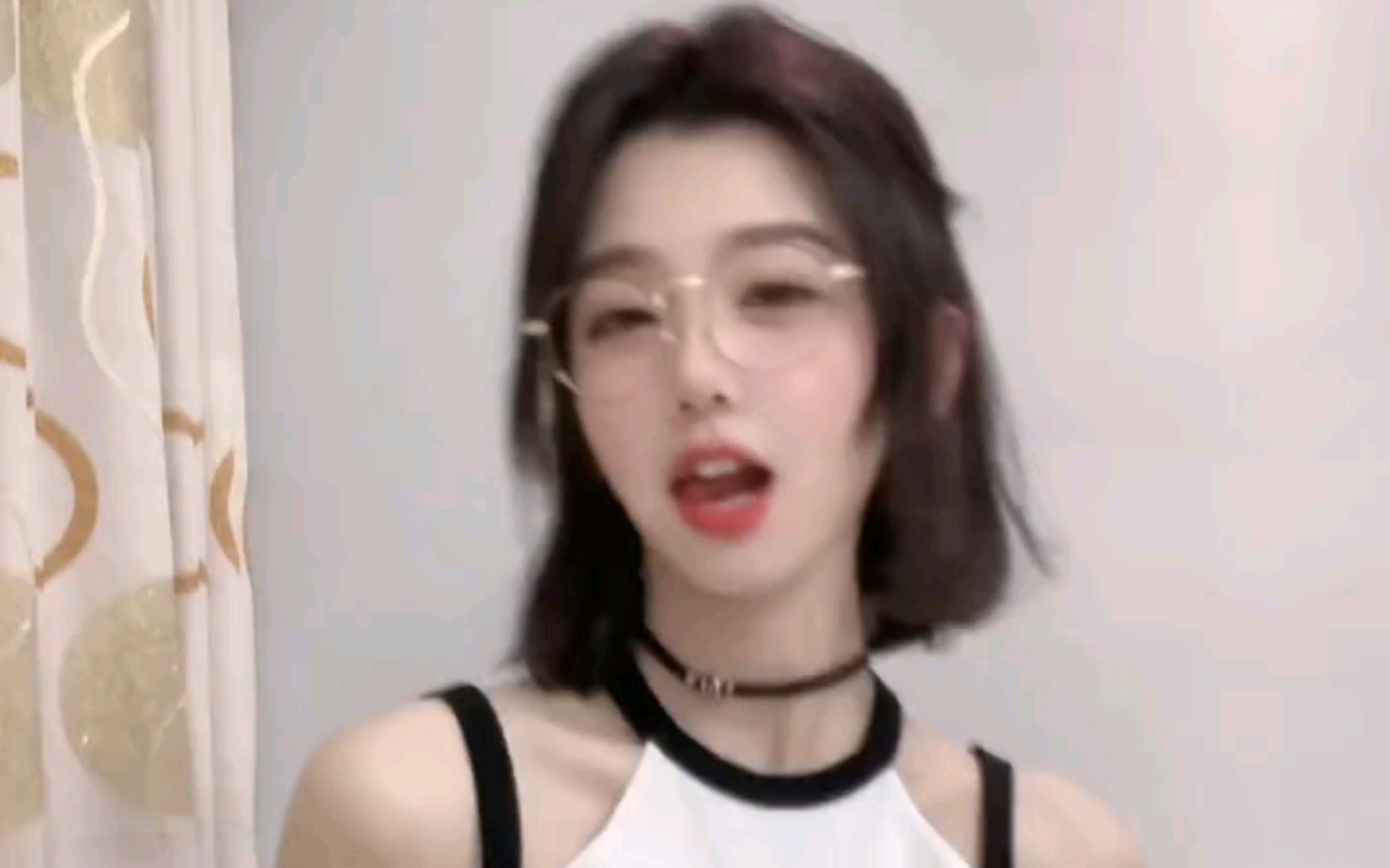 小豚豚豚鼠