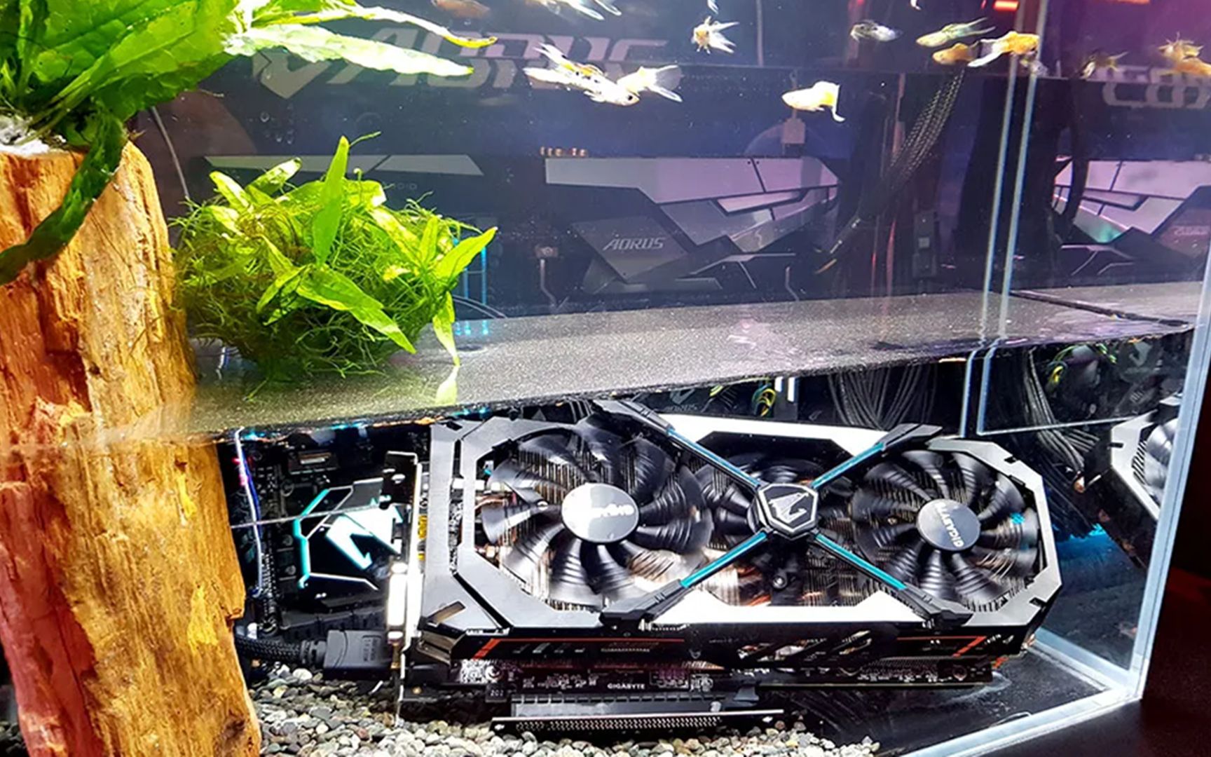 可以养鱼的电脑主机,里面的透明液体是什么?就不怕漏电吗?