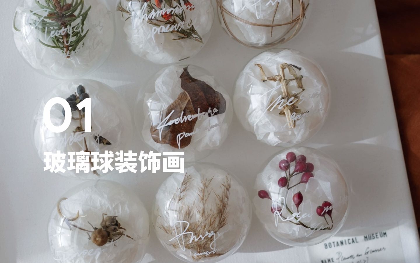 治愈系DIY | 植物装饰生活的10种方式哔哩哔哩bilibili