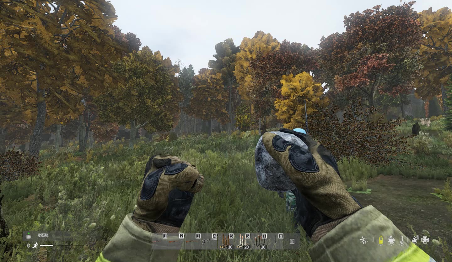 super_hero~《dayz》第一人称屌丝生存日记18