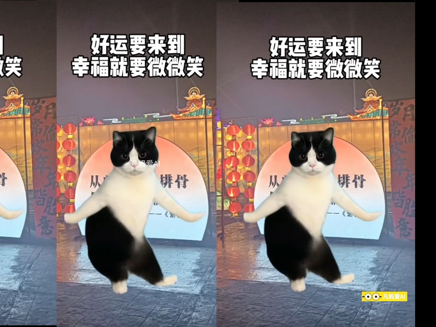 [图]超级无敌可爱牛奶猫~跳舞合集~萌化你的心~一次看个够