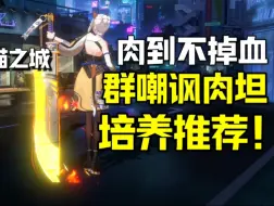 Download Video: 【猫之城】有群嘲 还是两回合 还巨肉？现PVP最强嘲讽T 绯红武士角色推荐！