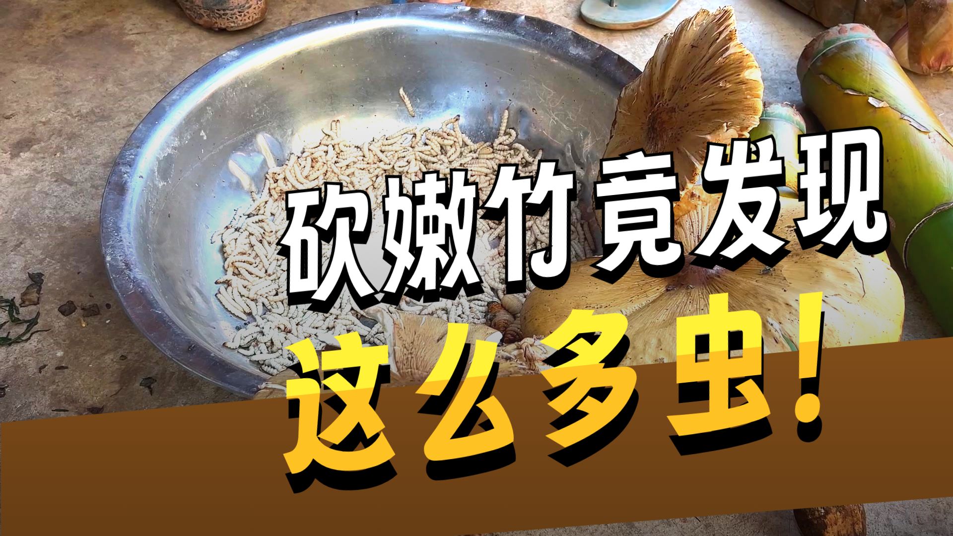 砍竹虫