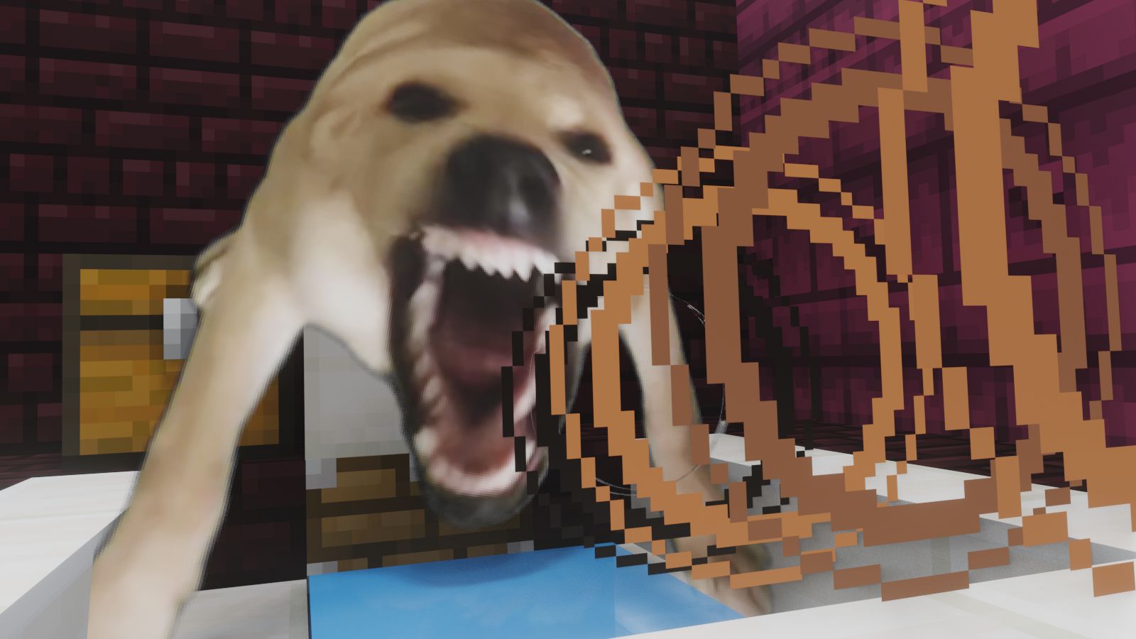 天 籁 狗 叫