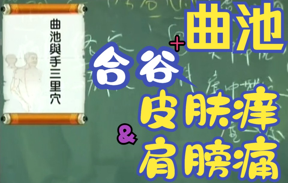 曲池、合谷:「皮肤痒」与「肩膀痛」哔哩哔哩bilibili